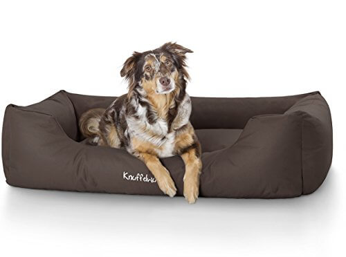 Größe Hundebett für einen Labrador? | Hundebett-Profi.net | Neu 2023